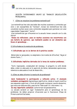 Sesión intercambio grupo de trabajo resolución de problemas.