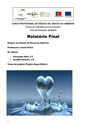 Relatório Final Projeto Serpa Hidríco