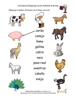 Empareja los animales