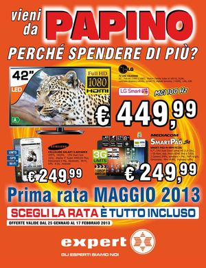 Volantino Expert gruppo Papino dal 25/1 al 17/02/2013