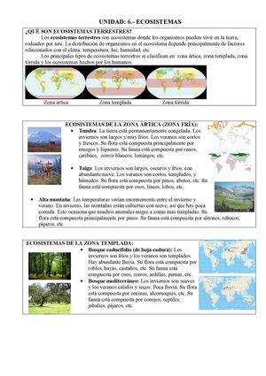 UNIT 06.- ECOSYSTEMS