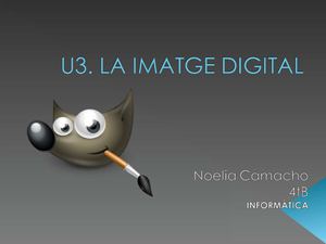 U.3 LA IMATGE DIGITAL