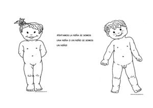 FICHAS DEL CUERPO HUMANO 