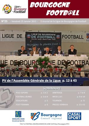 E-Hebdo n°25 du 25 Janvier 2013