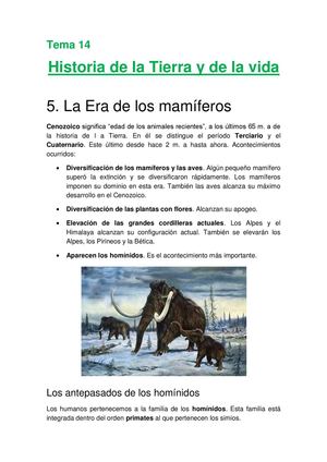 La era de los mamíferos y los grandes cambios climáticos