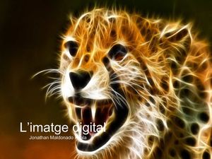 Imatge digital