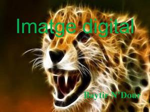 imatge digital