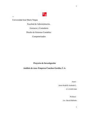 Selecciòn de un Programa Computarizado Contable