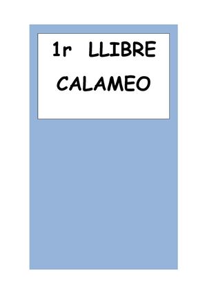 LLIBRE CALAMEO PROVA