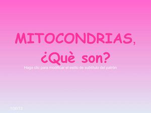 LAS MITOCONDRIAS