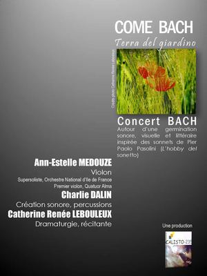 COME BACH, Terra del giardino