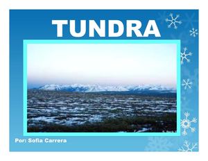 TUNDRA UN HERMOSO PAISAJE