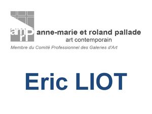"le retour" Eric LIOT, galerie anne-marie et roland pallade du 31 janvier au 16 mars 2013