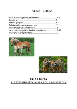 Ugalketa! Ainhoa Lakuntza ;)