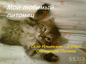 Презентация на тему: My pet. Окуловская П.