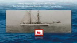 Schooner srl