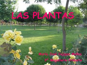 ppt Las Plantas