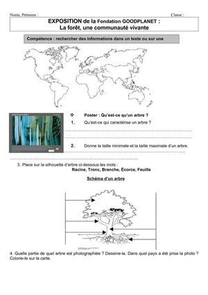 La forêt, une communauté vivante