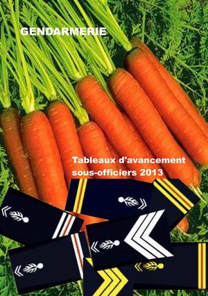 TABLEAUX D'AVANCEMENT SOUS-OFFICIERS GENDARMERIE 2013
