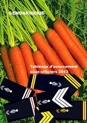 TABLEAUX D'AVANCEMENT SOUS-OFFICIERS GENDARMERIE 2013