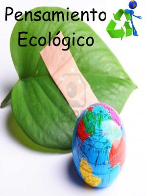 Educacion ambiental