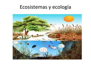 Ecosistemas y ecologia
