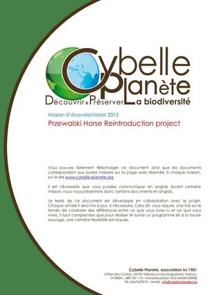 Mission chevaux en Mongolie