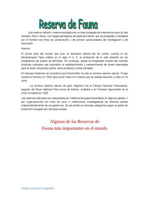 Querida Vida Natural 