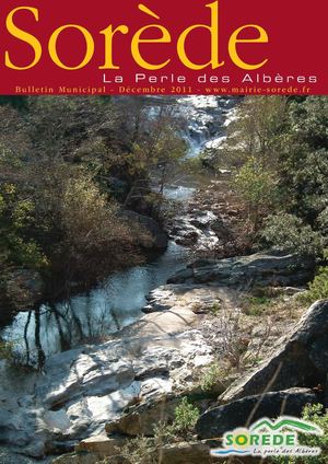 BM Sorede - hiver 2011