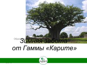 Зимняя забота от Гаммы Карите итог