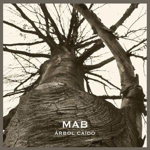 Catálogo de la exposición Árbol caído. Fundación Lázaro Galdiano