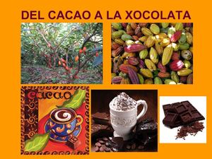Del cacao a la xocolata
