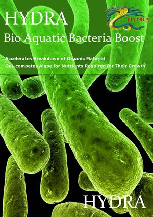 beneficial bacteria for ponds