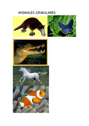 ANIMALES SINGULARES