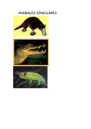 ANIMALES SINGULARES 1