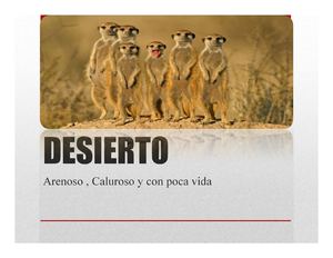 El Desierto, un bioma fantastico