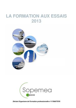 Formation Sopemea 2013