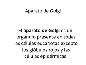 APARATO DE GOLGI