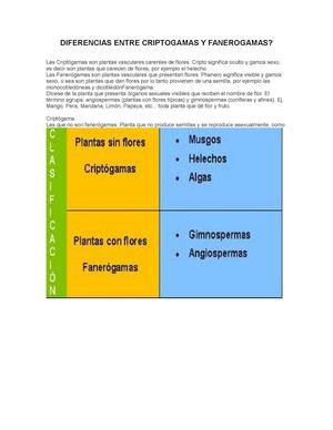 DIFERENCIAS ENTRE CRIPTOGAMAS Y FANEROGAMAS