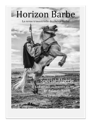 Revue Trimestrielle Horizon Barbe n°7