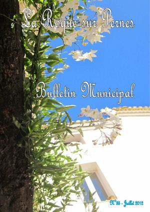 Bulletin Municipal La Roque sur Pernes N°35 Juillet 2012