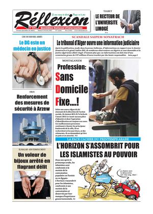 journal Reflexion du 12 fevrier 2013