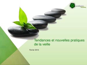 130122-veille_multimedia_terrain_temps_reel.