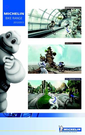 Michelin bickle katalog 2013