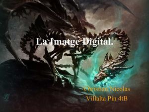 IMATGE DIGITAL