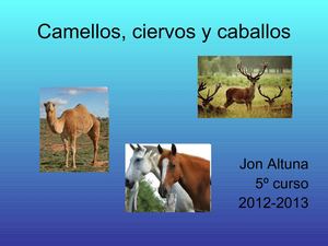 Camellos,ciervos y caballos