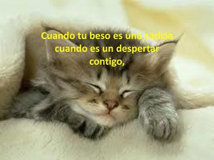 JUNTITOS HASTA LA ETERNIDAD