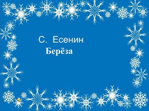 Белая  берёза