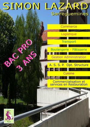 BROCHURE LP SIMON LAZARD