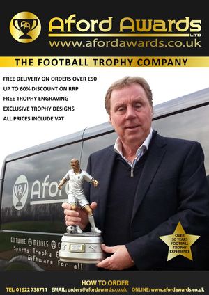 Aford Awards Brochure 2013